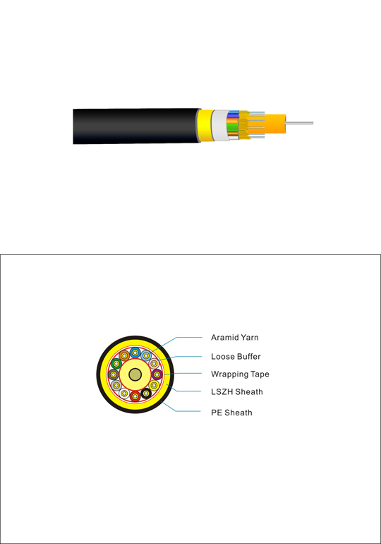 INDOOR/OUTDOOR 12-CORE CABLE
